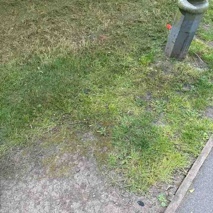 Pan post 1