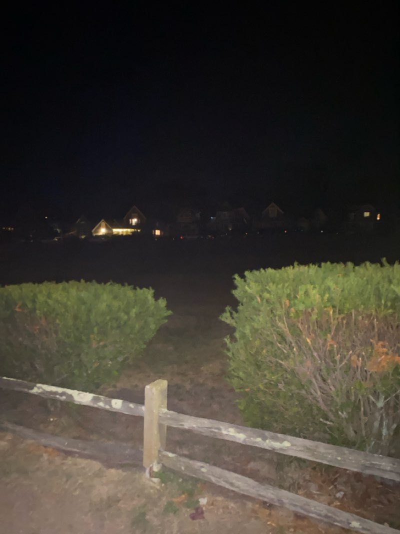 walking near me in Washington Park in autumn