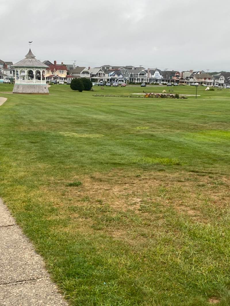 walking near me in Ocean Park in autumn