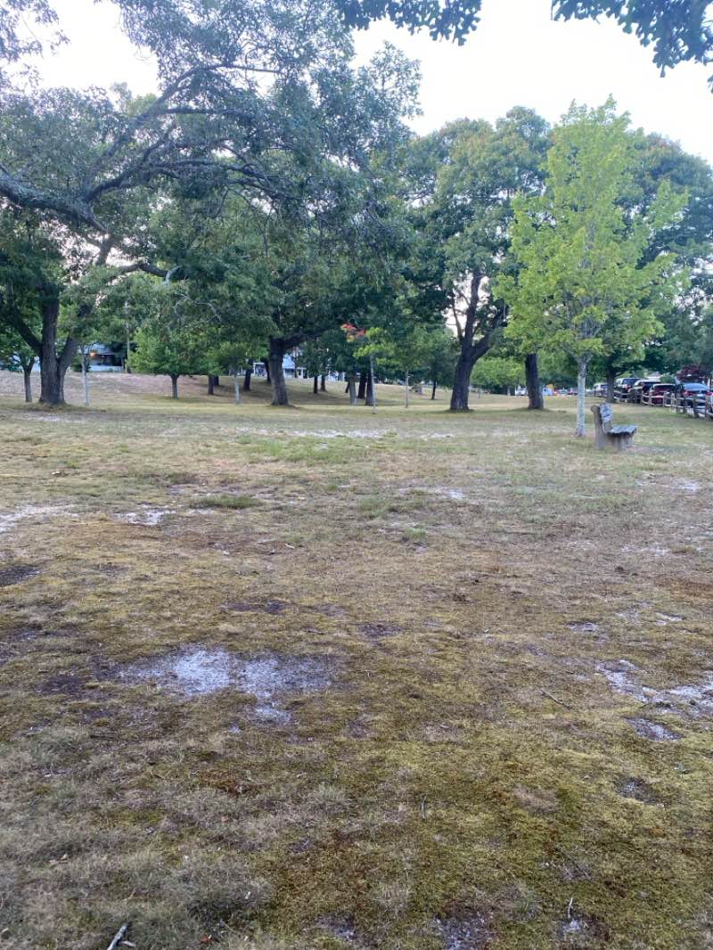 walking near me in Hiawatha Park in autumn