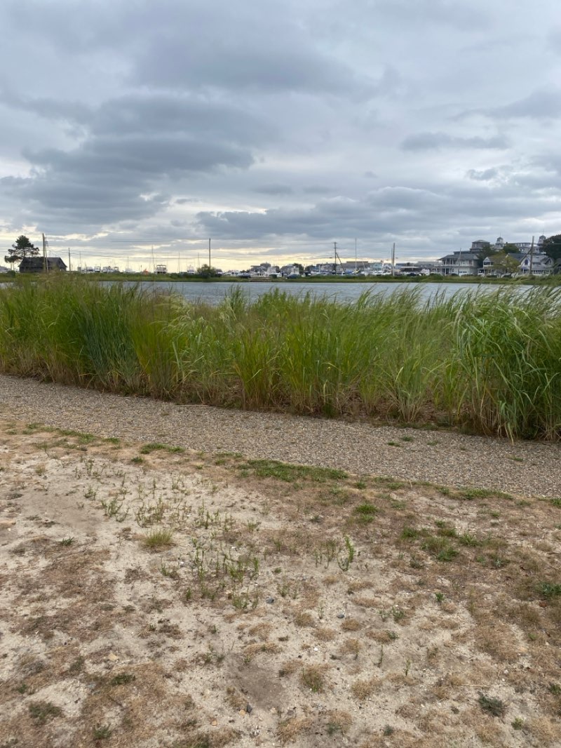 walking near me in Lakeside Park in autumn