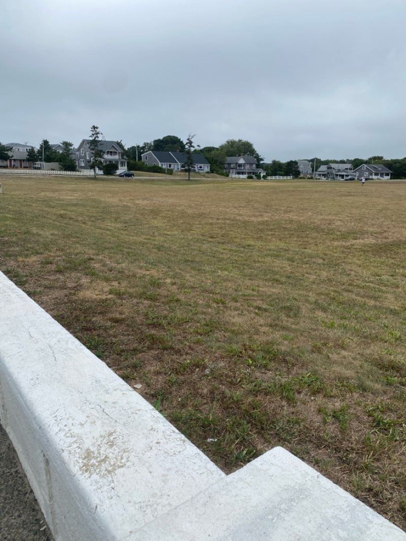walking near me in Waban Park in autumn