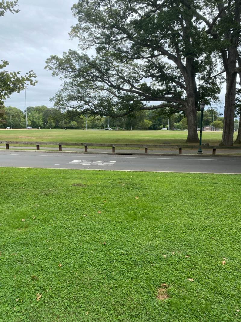 walking near me in Scalzi Park in autumn