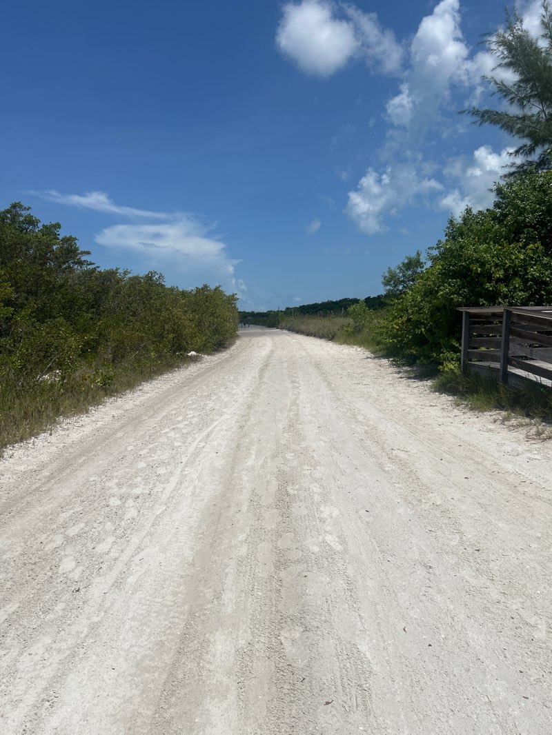 walking near me in Tigertail Beach in summer