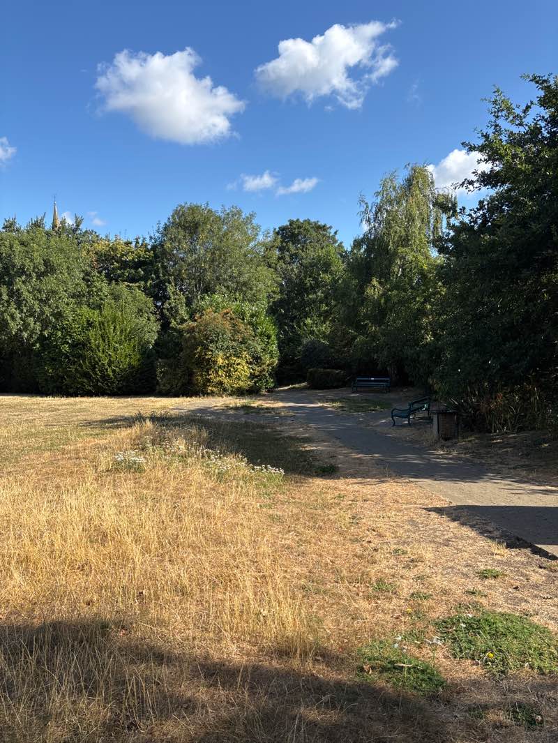 walking near me in Collis (Millennium Green) in summer