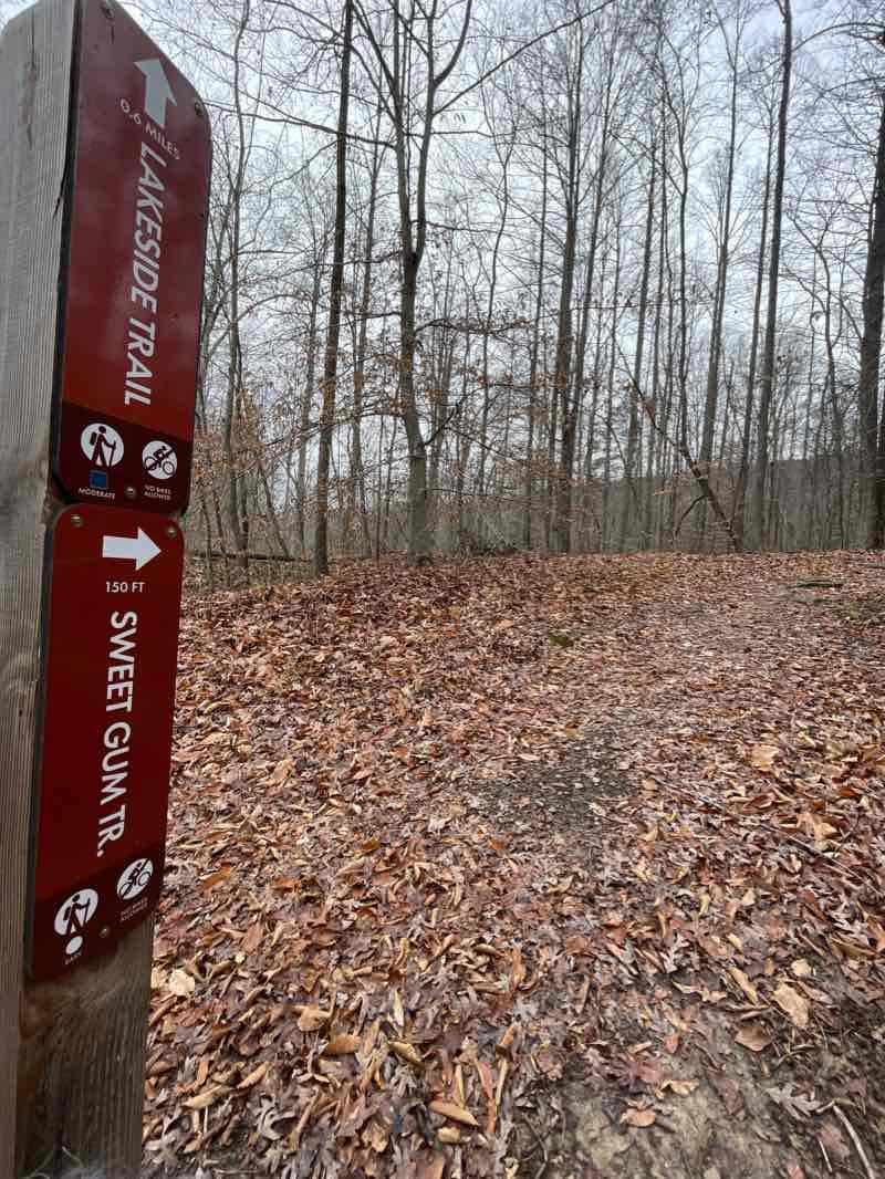 walking near me in Bays Mountain Park & Planetarium in winter