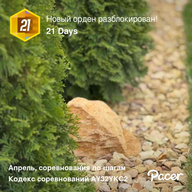 December Steps Challenge 🌺 Tasha 🌺 🇷🇺 post image