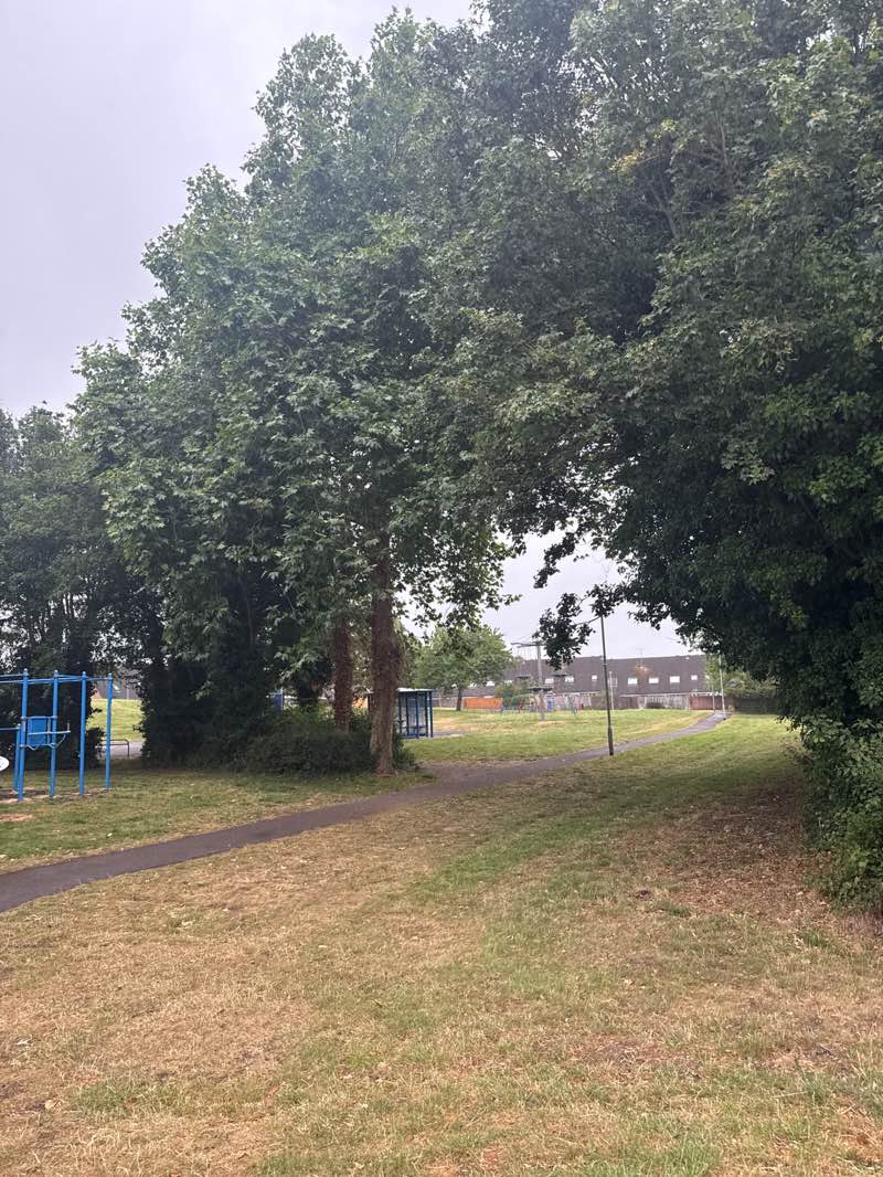 walking near me in Bloomsbury Park in summer