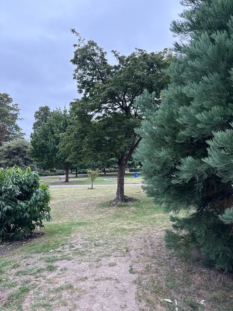 walking near me in Brenchley Gardens in autumn