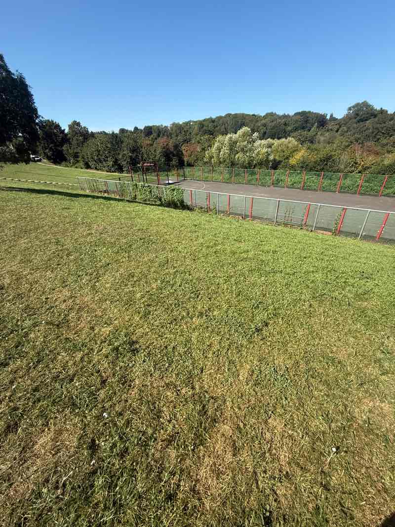 walking near me in Ringlestone Park in autumn