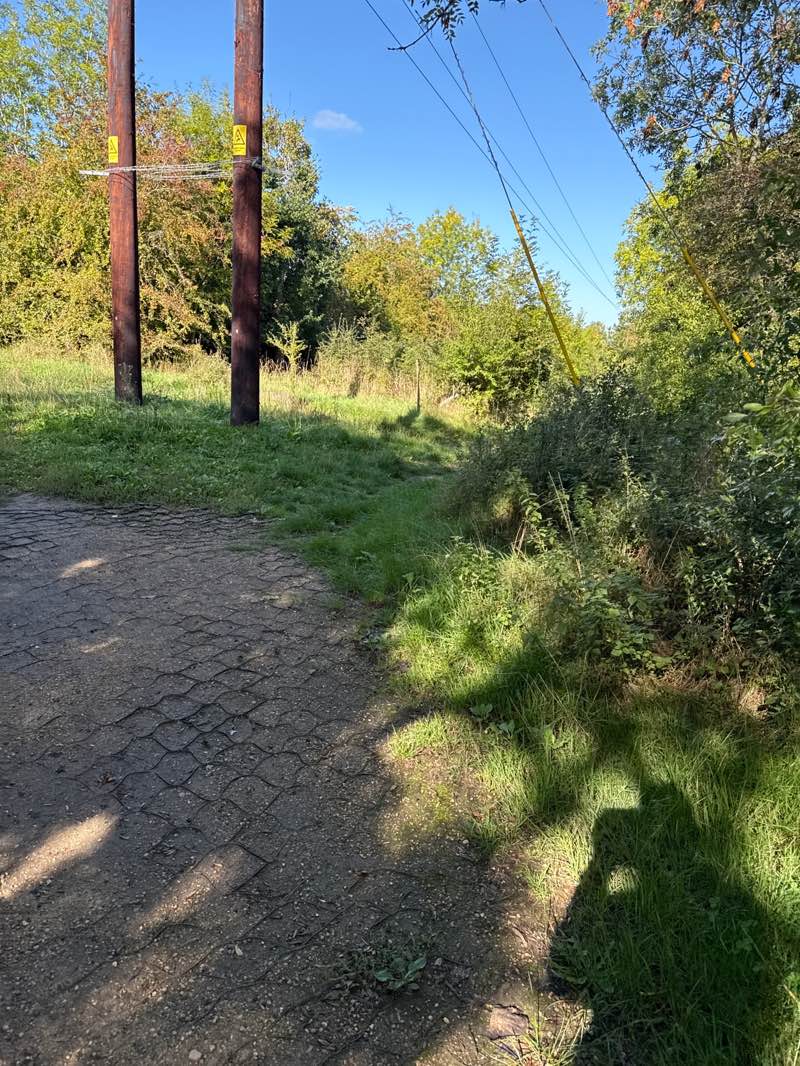 walking near me in Louie Memorial Playing Fields in autumn