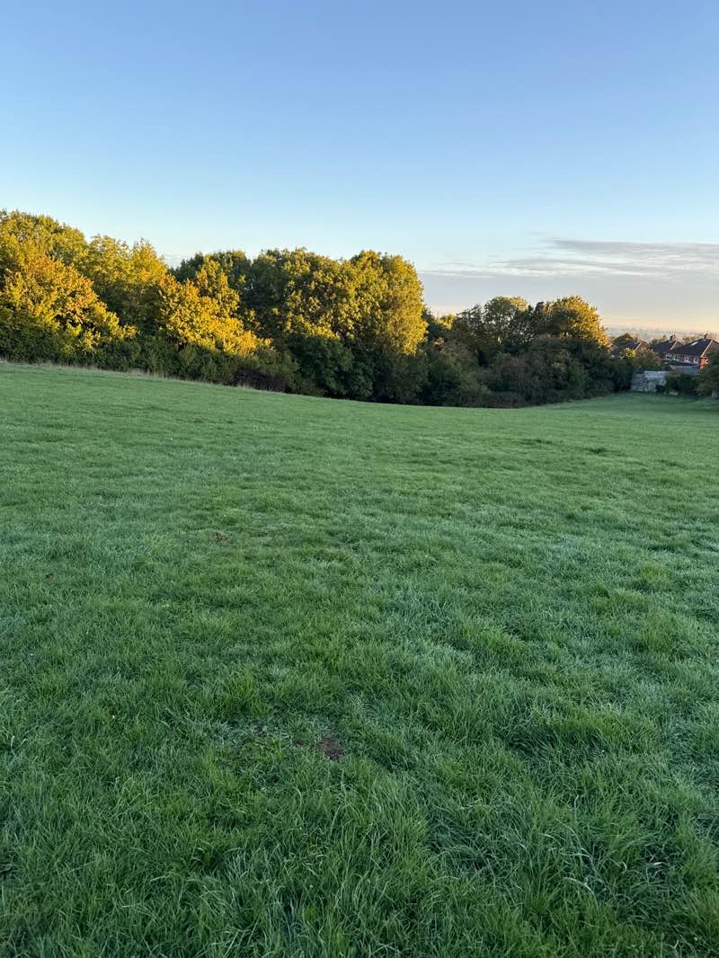 walking near me in Lower Field in autumn