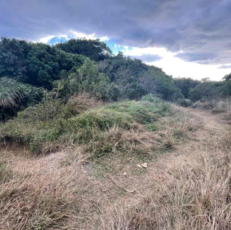 傳説中ㄉ阿嘉 post 2