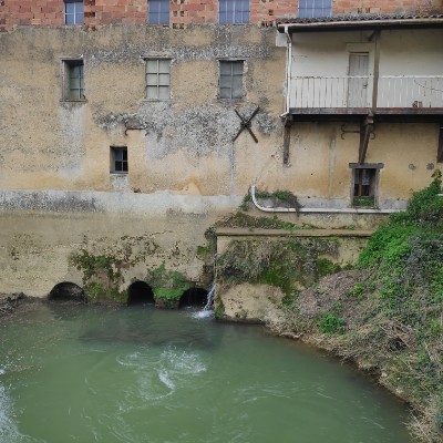 La Ardilla Raymonde post image