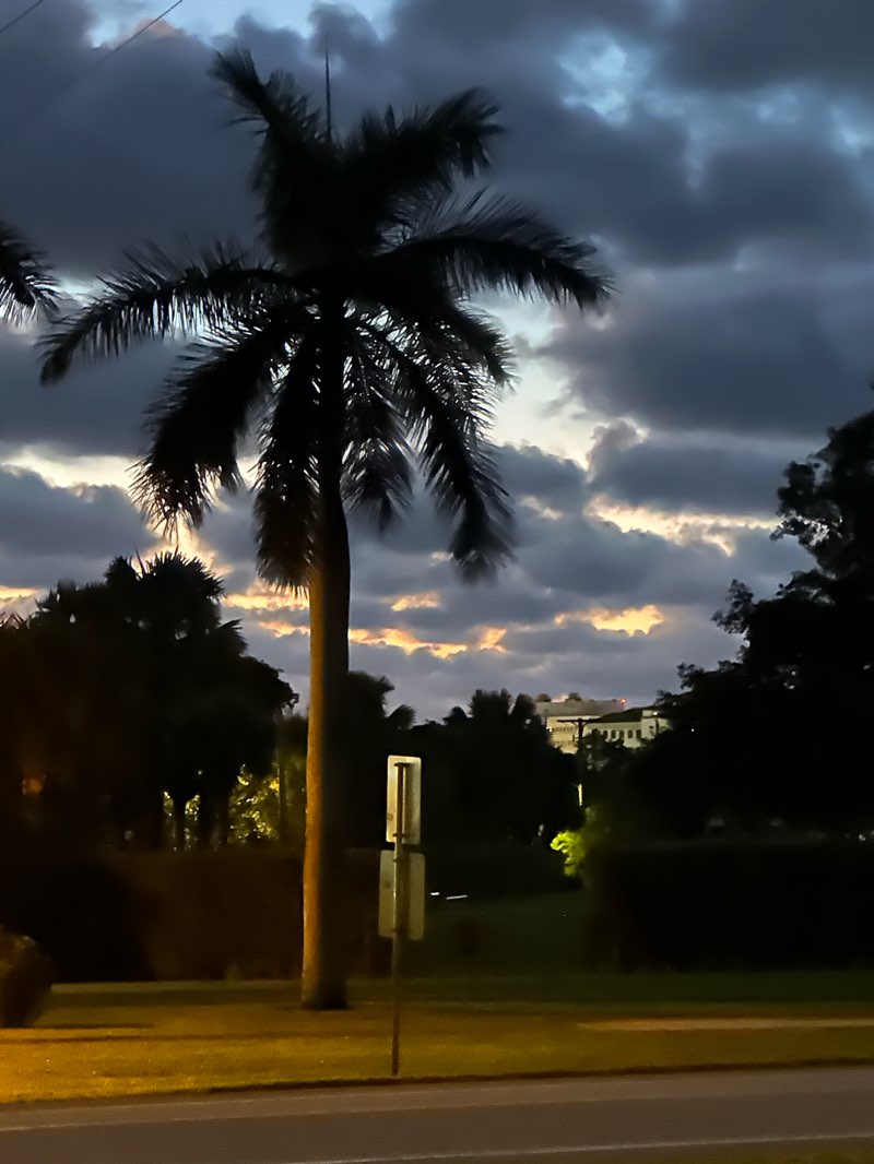 walking near me in Memorial Park in winter