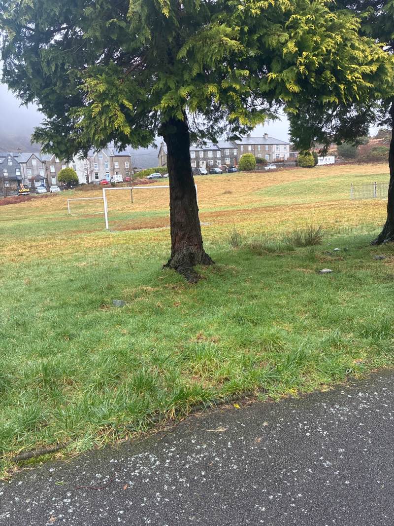 walking near me in Oakeley Square in winter