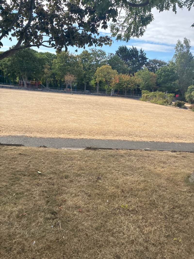 walking near me in Station Road Gardens in summer