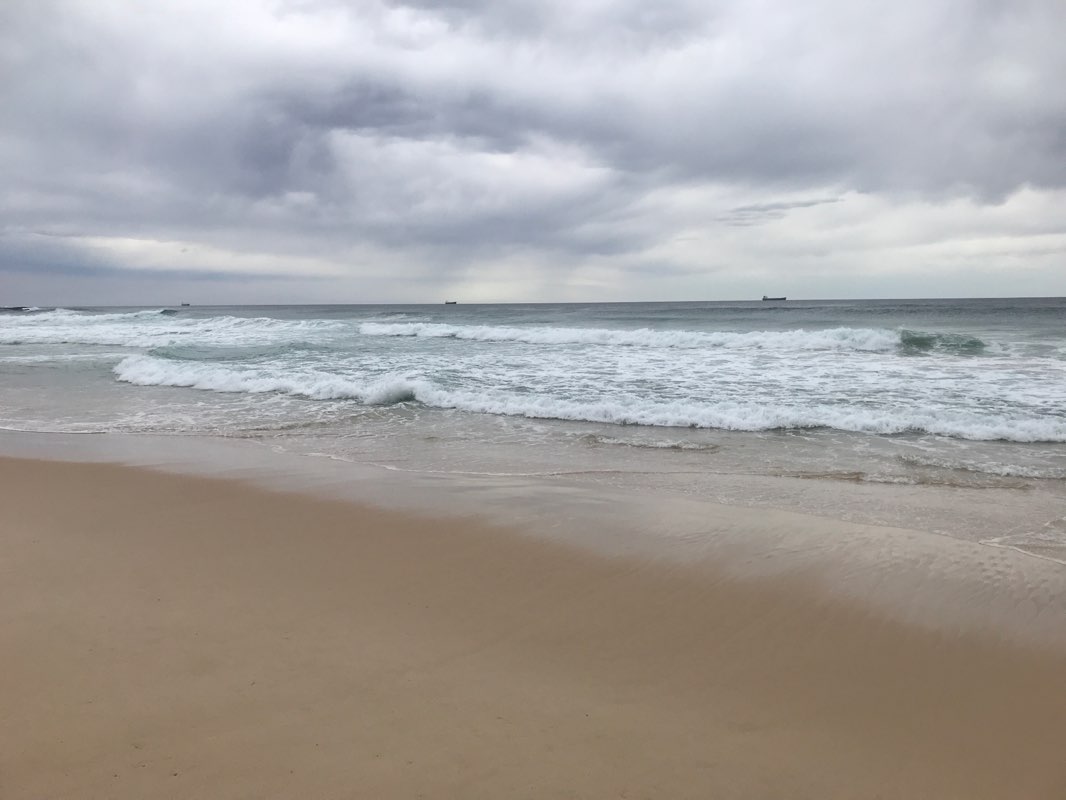 walking near me in Munmorah State Conservation Area in summer