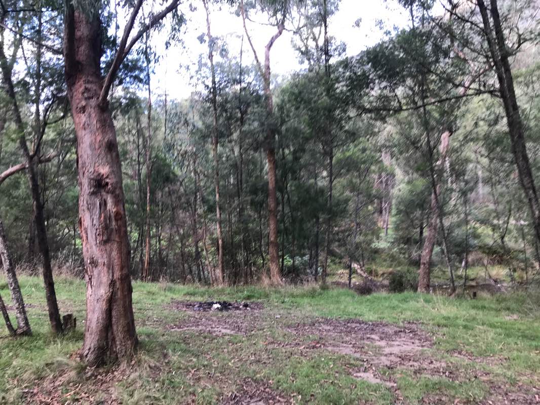 walking near me in Wongungurra River headwaters Natural Catchment Area in autumn