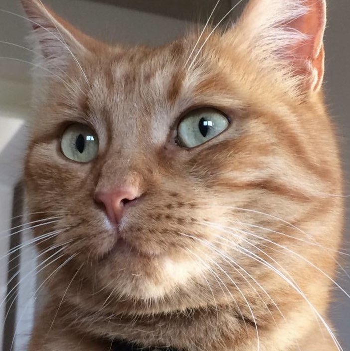 Adriano