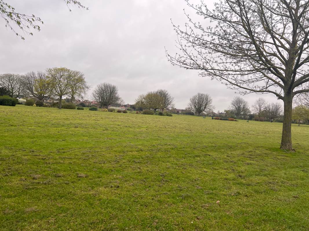 walking near me in Clayhall Park in spring