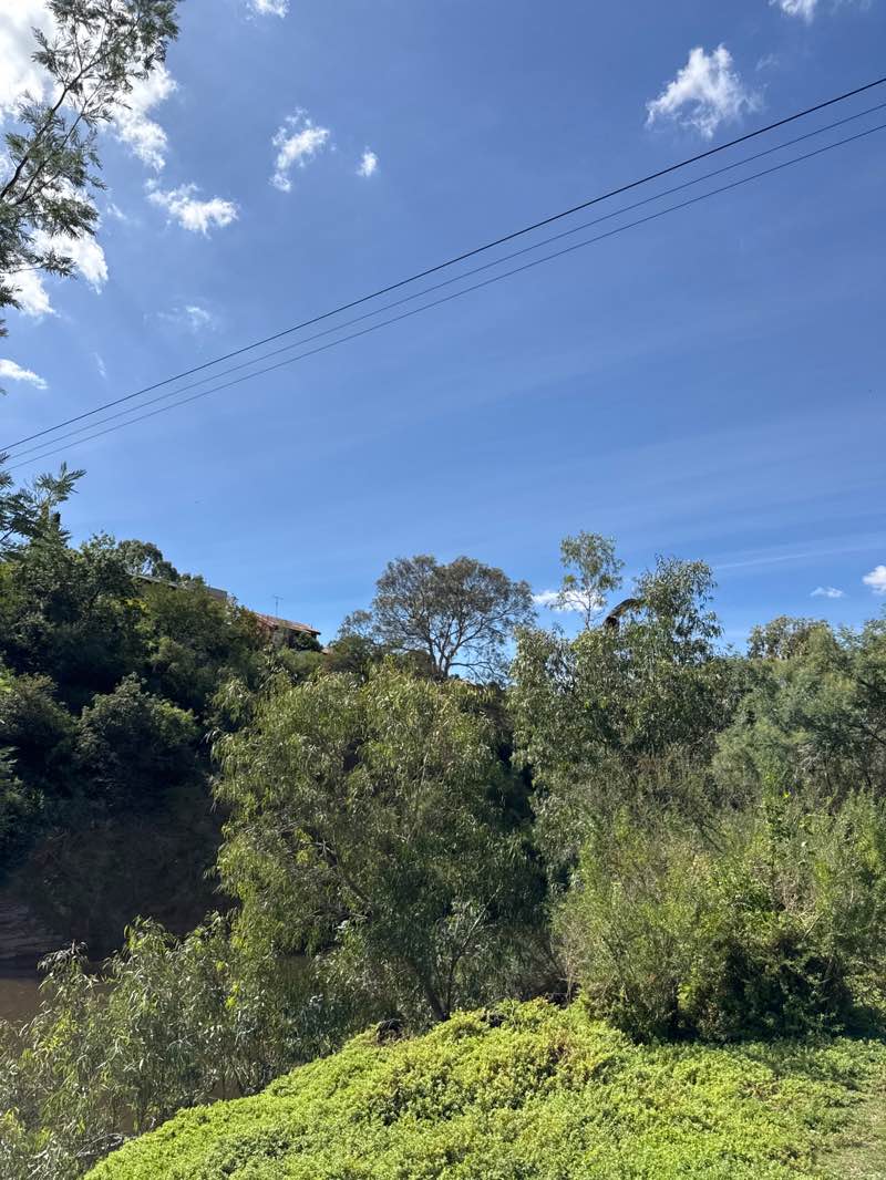 walking near me in Brimbank Park in autumn