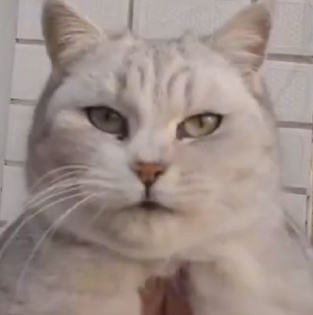 inm