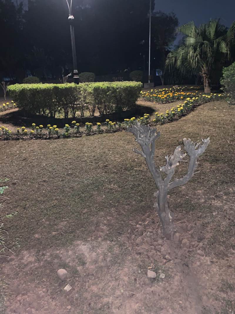 walking near me in Argentina Park in winter