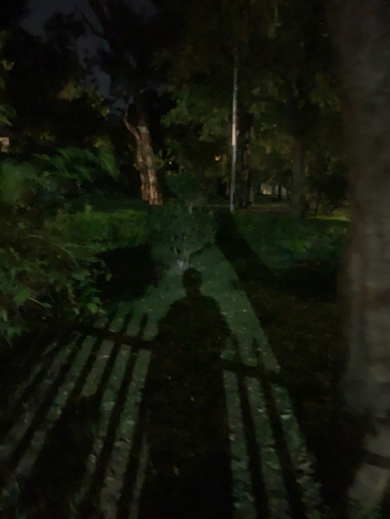 walking near me in Children's Park in spring