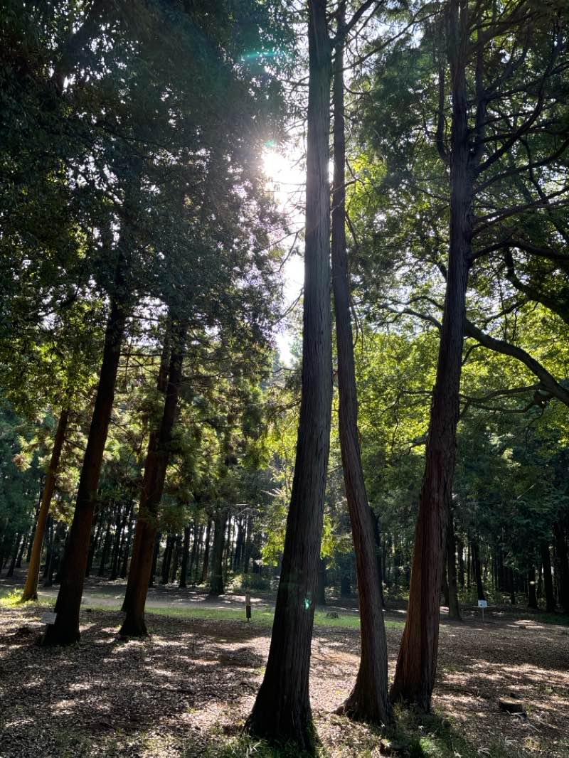 walking near me in 手賀沼親水広場 in winter