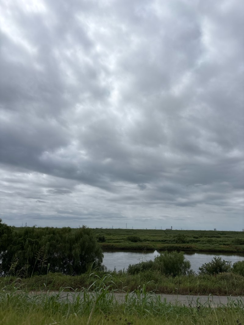 walking near me in 中の島公園 in autumn