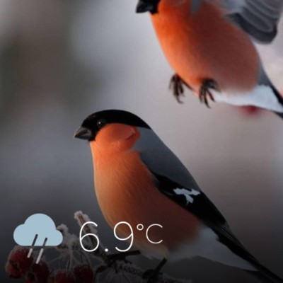 Genova a spasso Piero post image