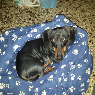 ๐โค I T๐ฆRN๐ชDโS โค๐๐๐๐๐โ
๐ Piero post image