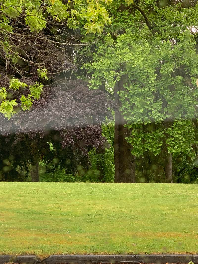 walking near me in Wright Park in spring