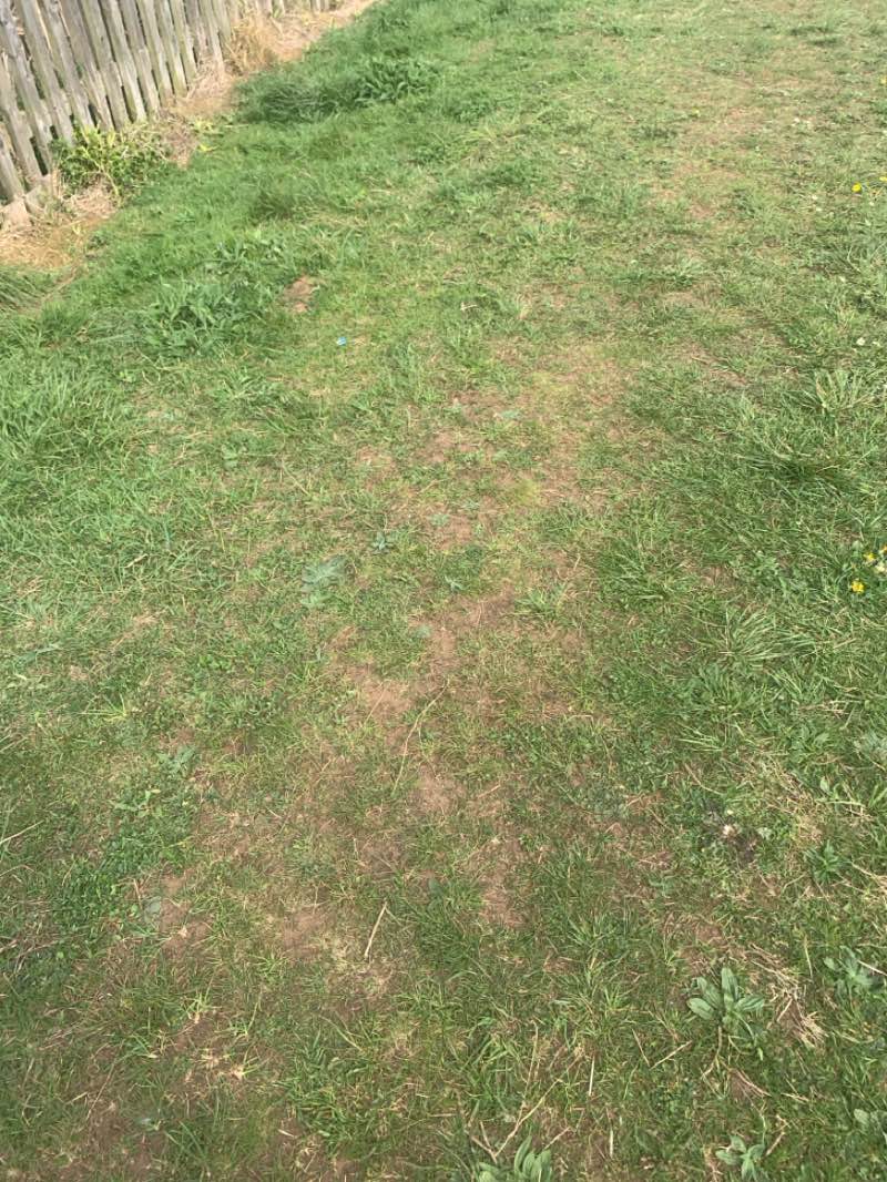 walking near me in Merlin Park in spring