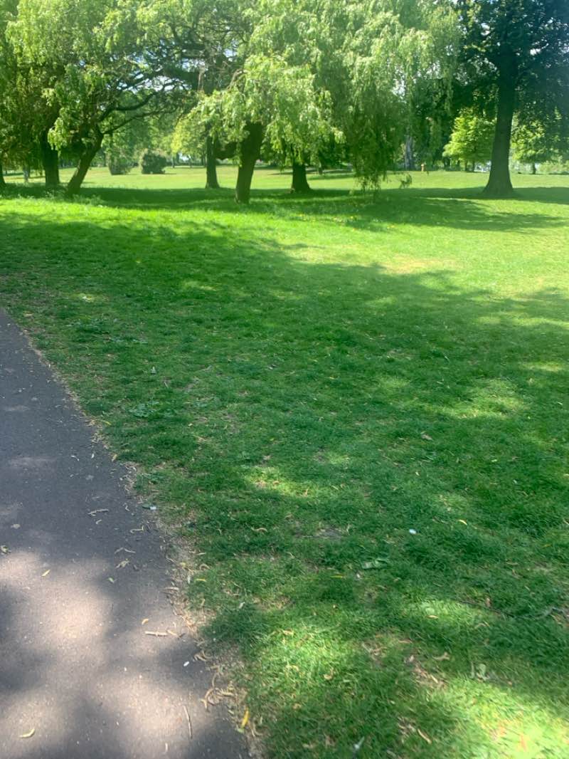 walking near me in Sutton Lawn in spring