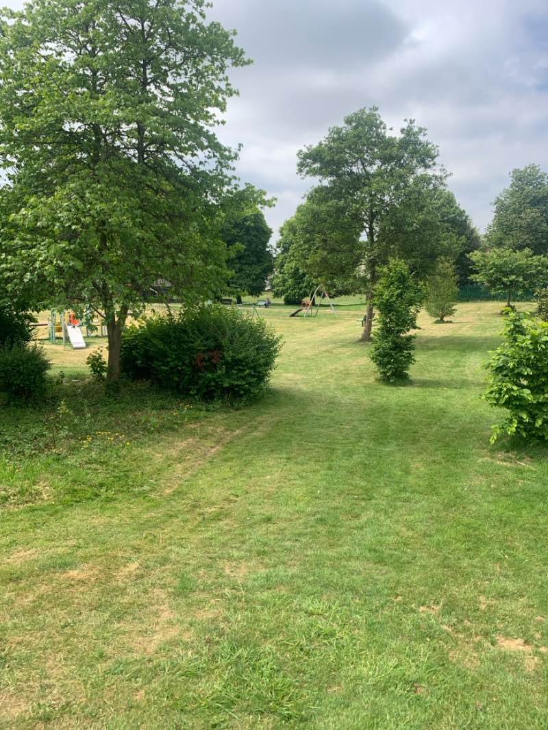 walking near me in Welfare Park in spring