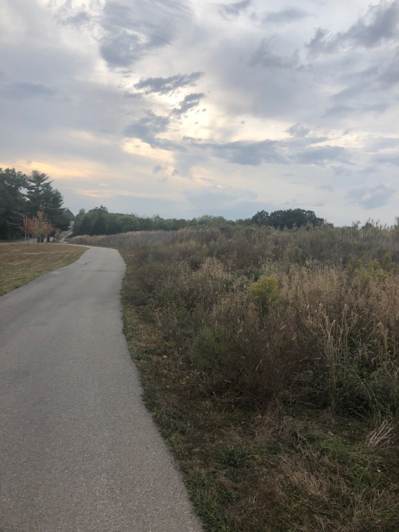 walking near me in Jaycee Park in winter
