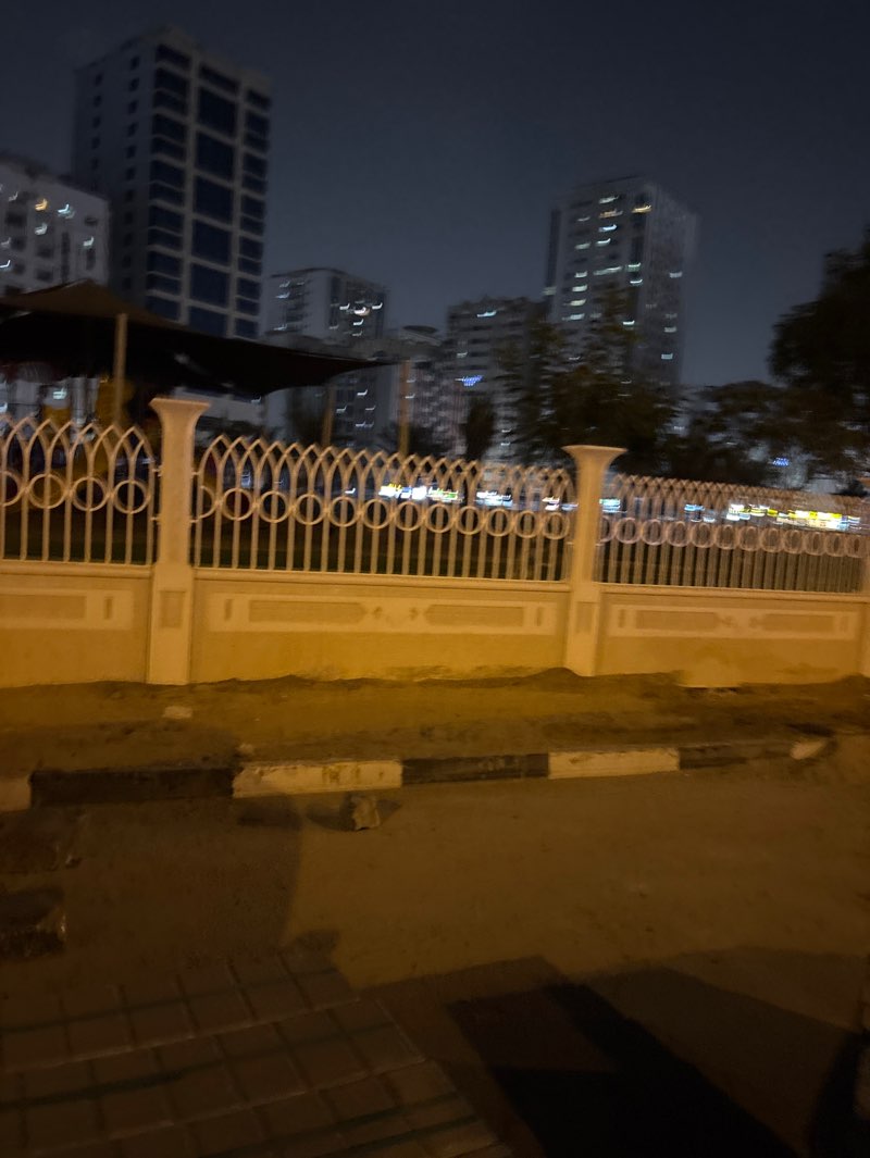walking near me in Abu Shagara Park in winter