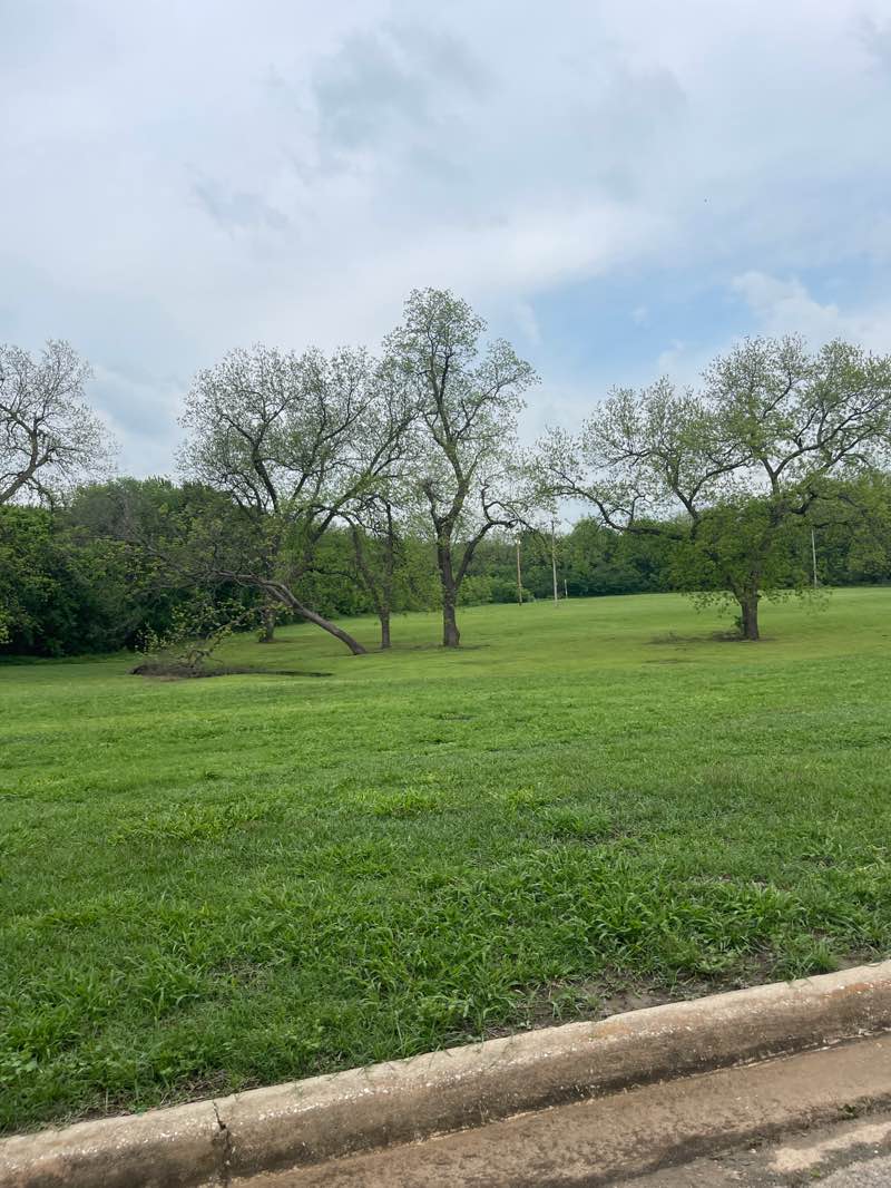 walking near me in Slaton Park in spring