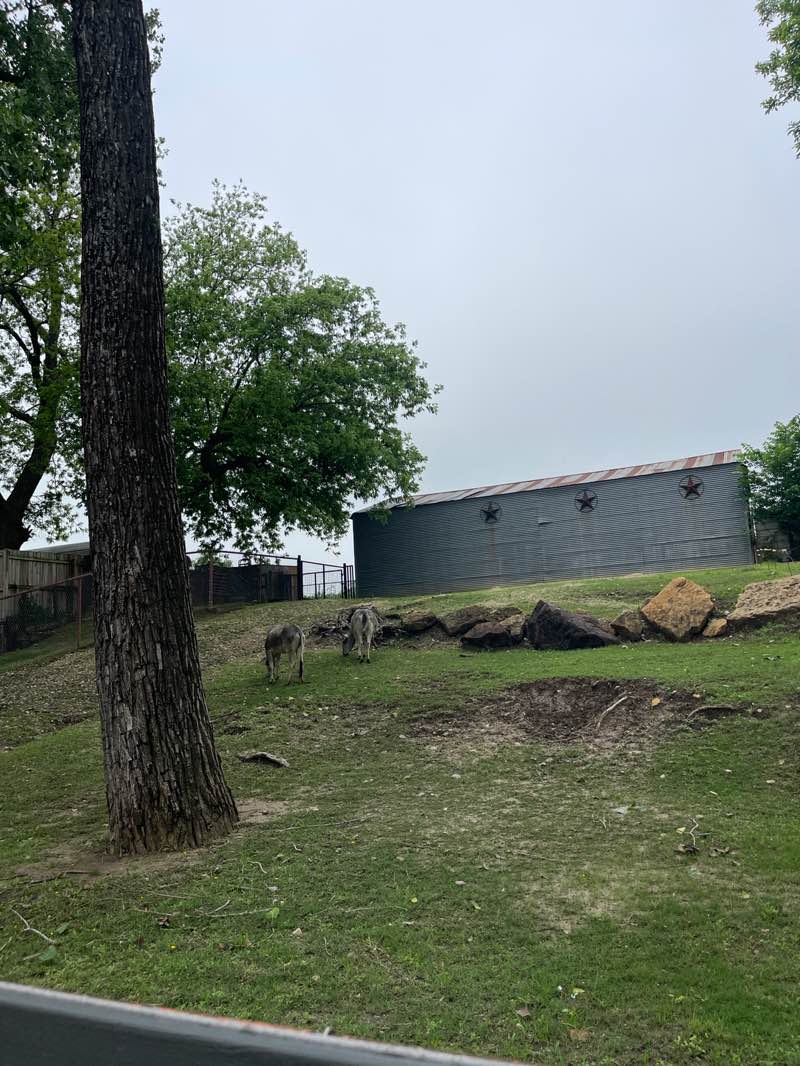 walking near me in Leonard Park in spring