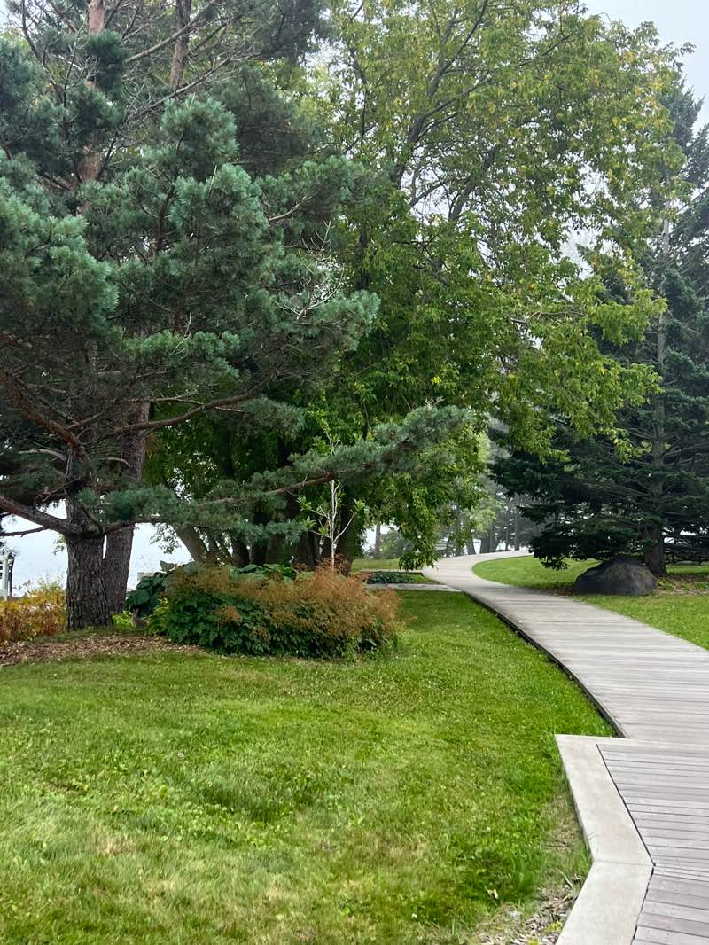 walking near me in Lakewalk in autumn