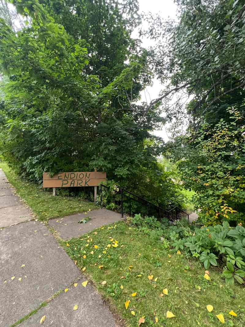 walking near me in Endion Park in autumn