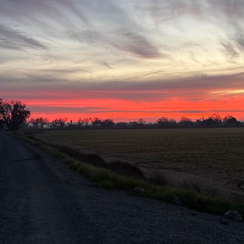 Happy Feet 2.0 kbarton10 post image