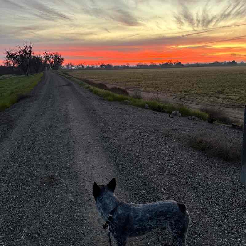 Happy Feet 2.0 kbarton10 post image