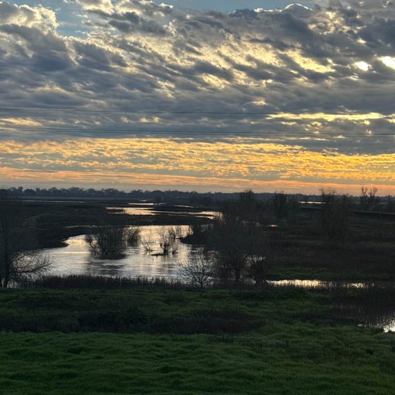 Muddy Boots kbarton10 post image