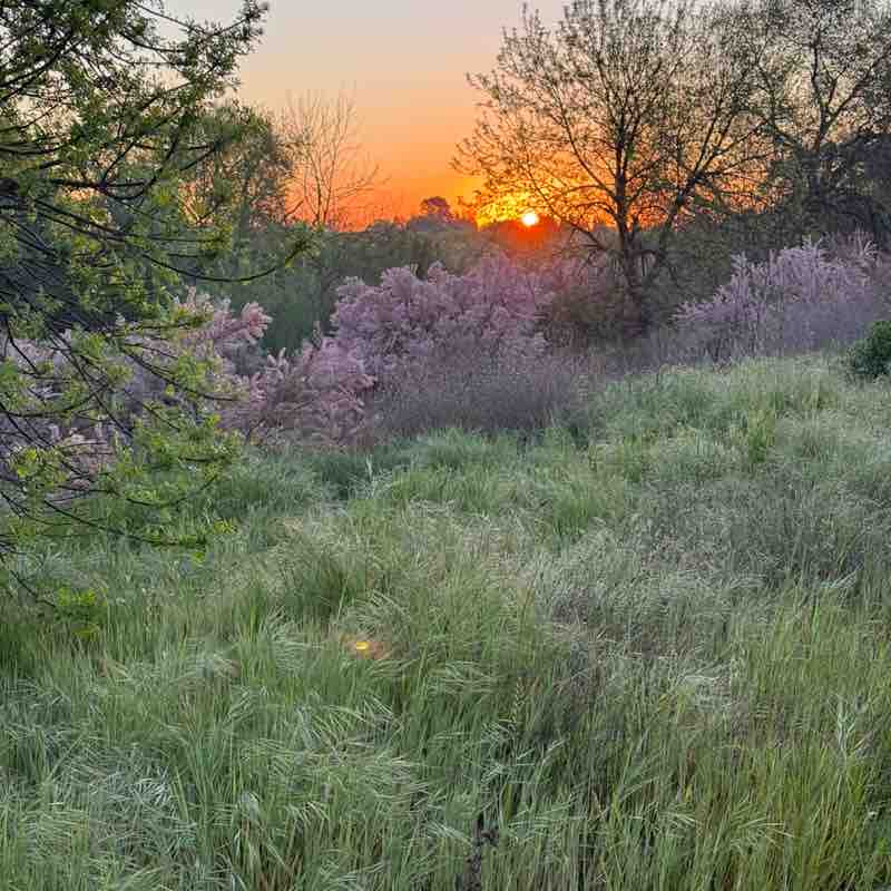 😍BEAUTIFUL NATURE😍 kbarton10 post image