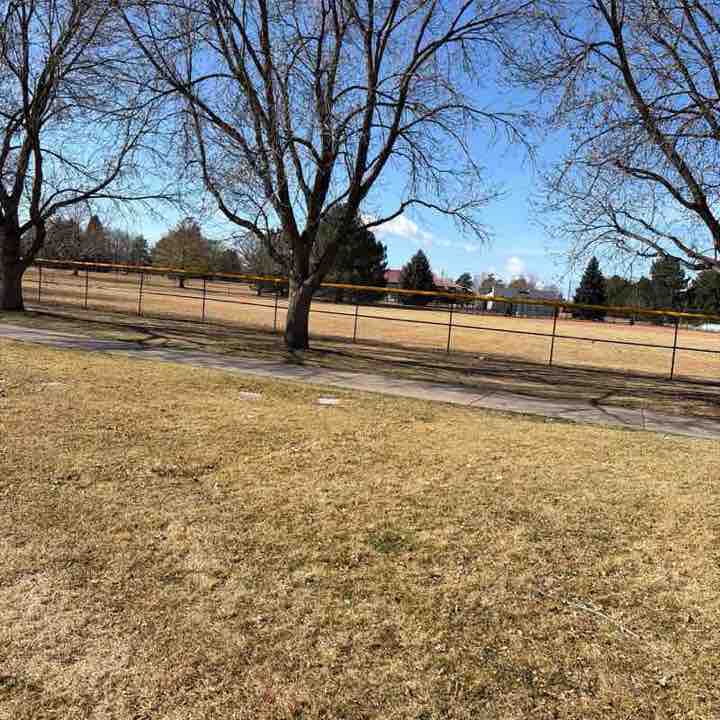 greyhound.lovers post 1