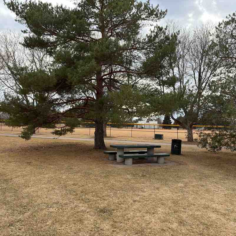 greyhound.lovers post 1