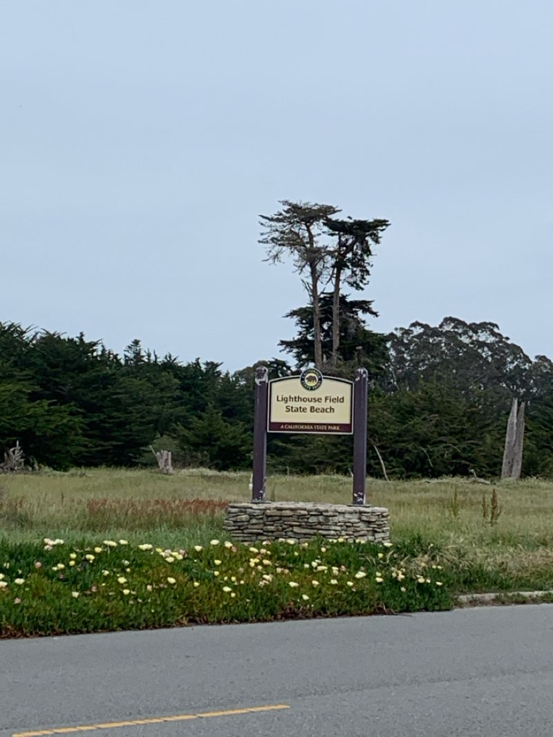 walking near me in Lighthouse Field State Beach in spring